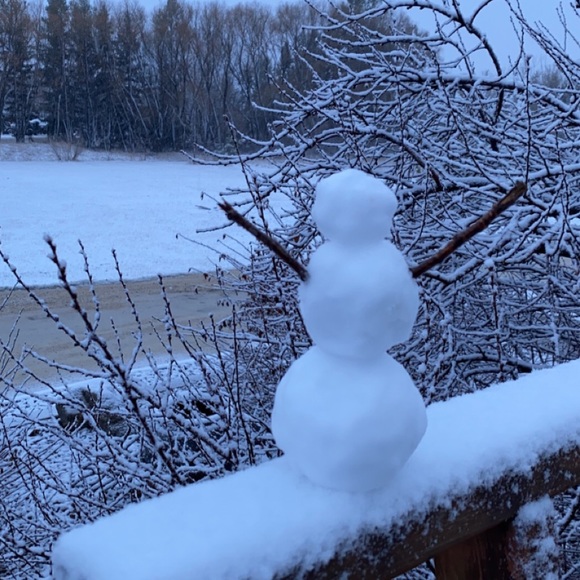 Meet your Posher, Leanne - Picture 1 of 1